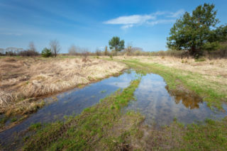 Kiedy nadejdzie astronomiczna wiosna 2026? Ta data i godzina zaskoczą wielu Polaków