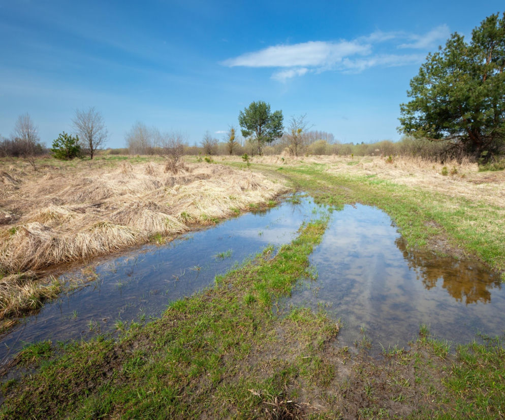 Astronomiczna wiosna 2026. Data i godzina