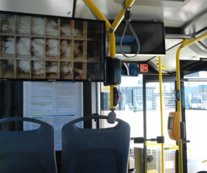Promocja weganizmu w białostockich autobusach