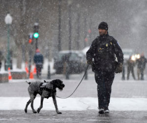 Śnieżna burza potwór atakuje Amerykę! Ostrzeżenie dla Polaków