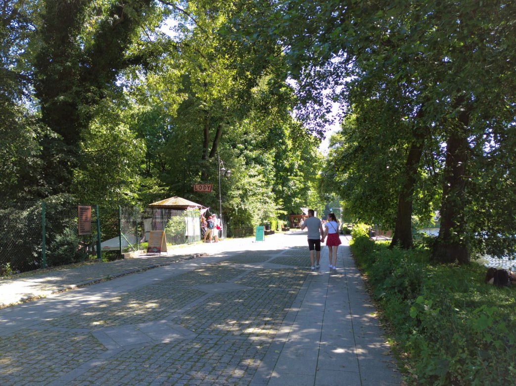 ulica Aleksandry Wachniewskiej w Zwierzyńcu
