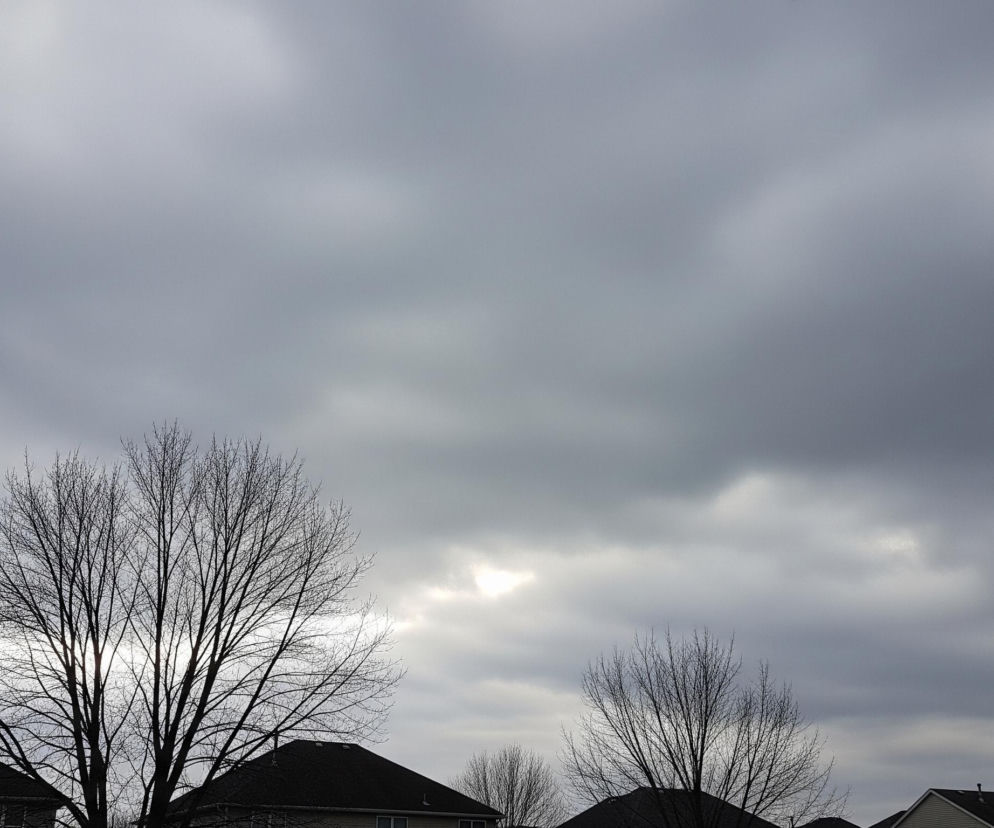Ponad połowę kadru zajmuje zachmurzone, szare niebo, z jaśniejszymi fragmentami widocznymi między chmurami. W dolnej części obrazu dominują czarne, nagie drzewa o rozłożystych konarach, częściowo przysłaniające dachy domów. Krawędzie kilku domów z ciemnymi dachami i jasnymi ścianami wyłaniają się zza linii drzew, tworząc miejski krajobraz pod pochmurnym niebem.