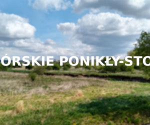 Ponikły