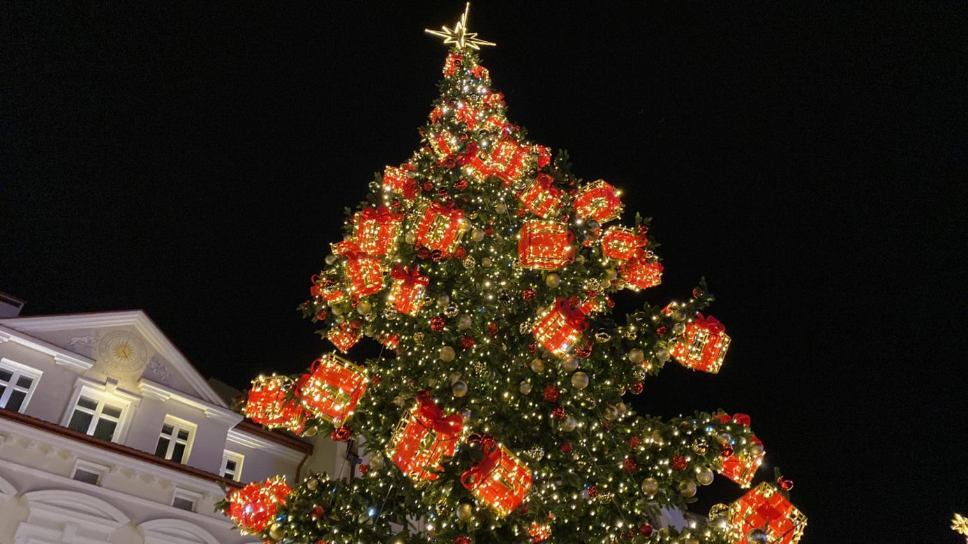 RZESZÓW. Świąteczne Miasteczko na Rynku rozbłysło milionem światełek. Czuć magię świąt! [ZDJĘCIA]