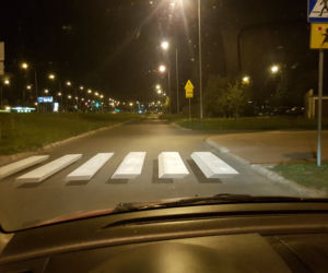 Zamojskie przejście 3D