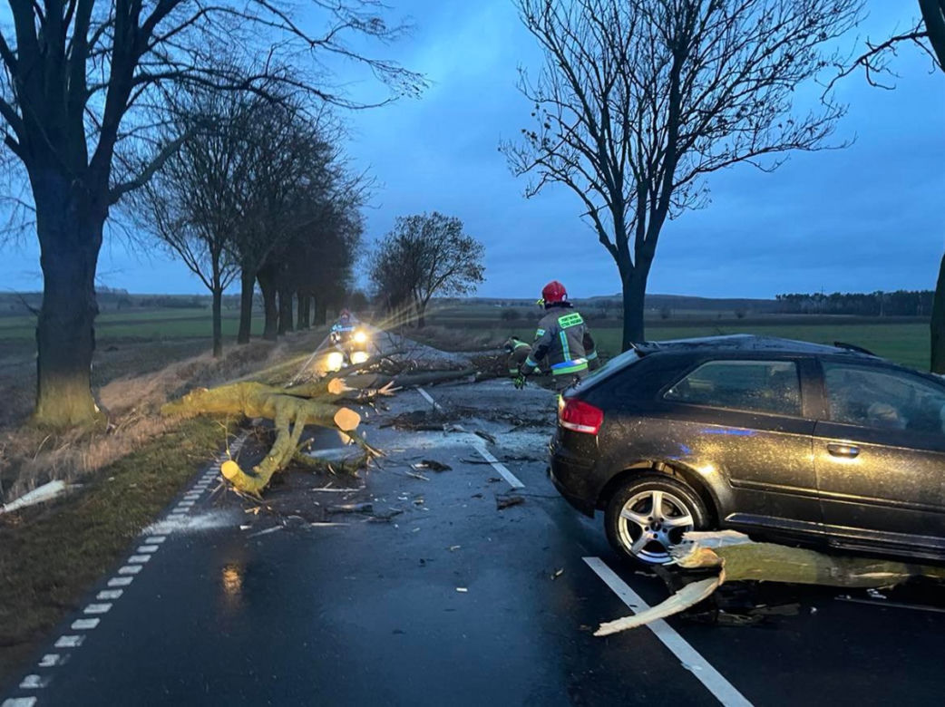 Osobówka wjechała w połamane drzewo! O krok od tragedii pod Żninem 