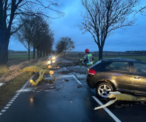 Osobówka wjechała w połamane drzewo! O krok od tragedii pod Żninem 