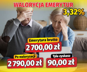 Fiszki waloryzacyjne