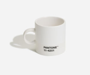 Kolor Roku Pantone 2026