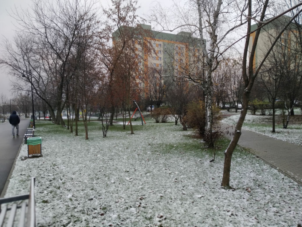 Pierwszy śnieg w Radomiu! Zobacz, jak rano wyglądało miasto