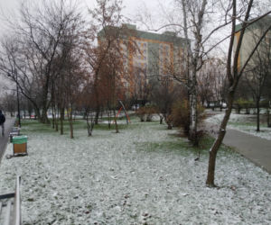 Pierwszy śnieg w Radomiu! Zobacz, jak rano wyglądało miasto