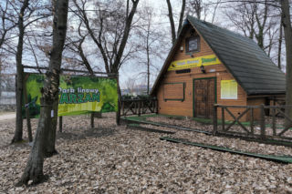 Koniec „Tarzana” w Lesznie. Park linowy zostanie rozebrany do końca kwietnia