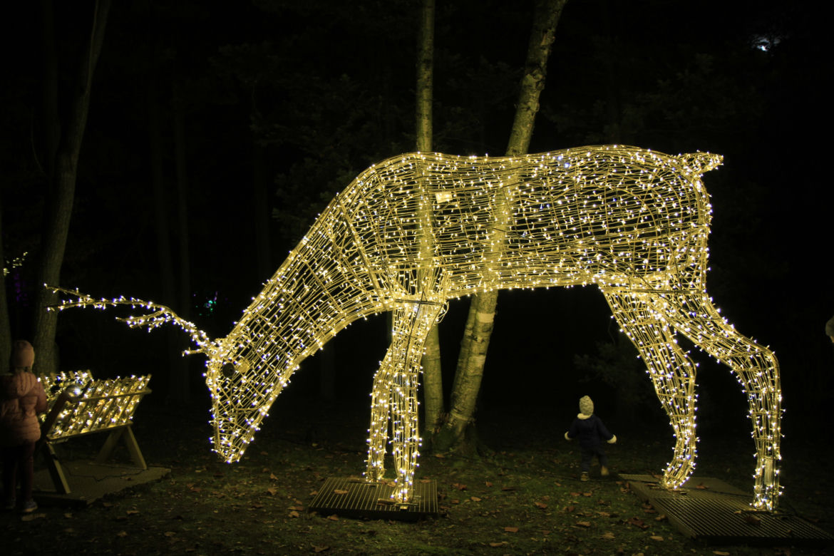 Park iluminacji „Tajemniczy Ogród” w Lublinie