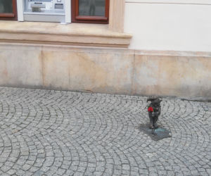 Para krasnali na wrocławskim rynku