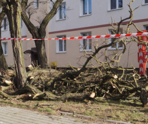 Niszczycielska wichura w Bydgoszczy [ZDJĘCIA]