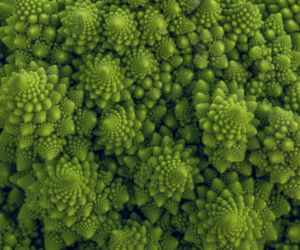 Oto najnowszy hit w diecie osób z cukrzycą i problemami jelitowymi. Reguluje perystaltykę jelit, walczy z przewlekłymi zaparciami