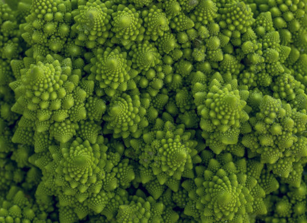 Oto najnowszy hit w diecie osób z cukrzycą i problemami jelitowymi. Reguluje perystaltykę jelit, walczy z przewlekłymi zaparciami