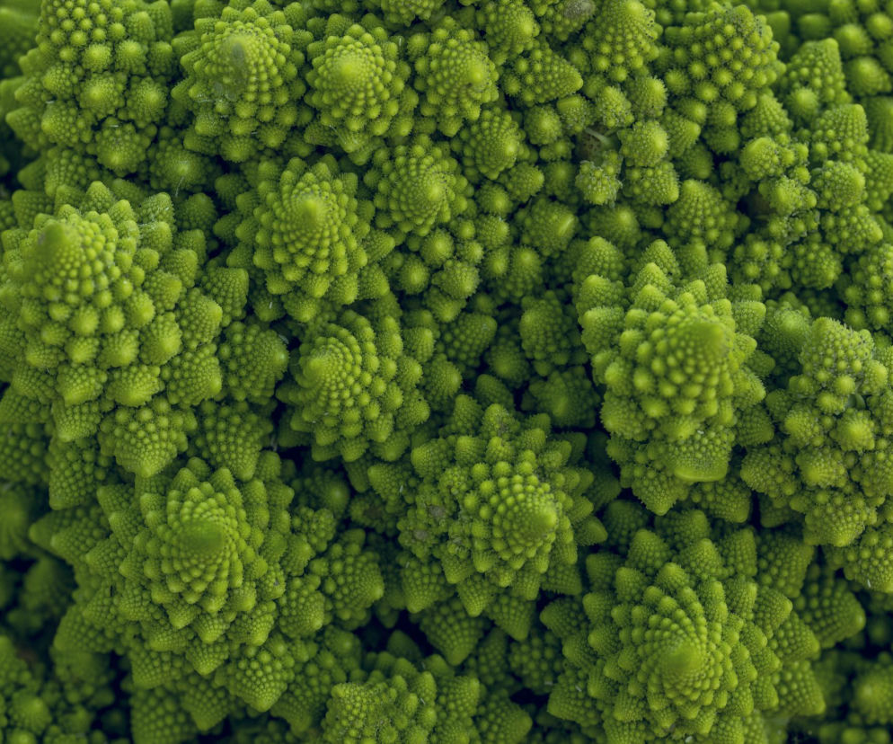 Oto najnowszy hit w diecie osób z cukrzycą i problemami jelitowymi. Reguluje perystaltykę jelit, walczy z przewlekłymi zaparciami