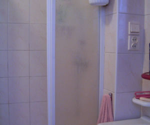 Zdjęcie 7536