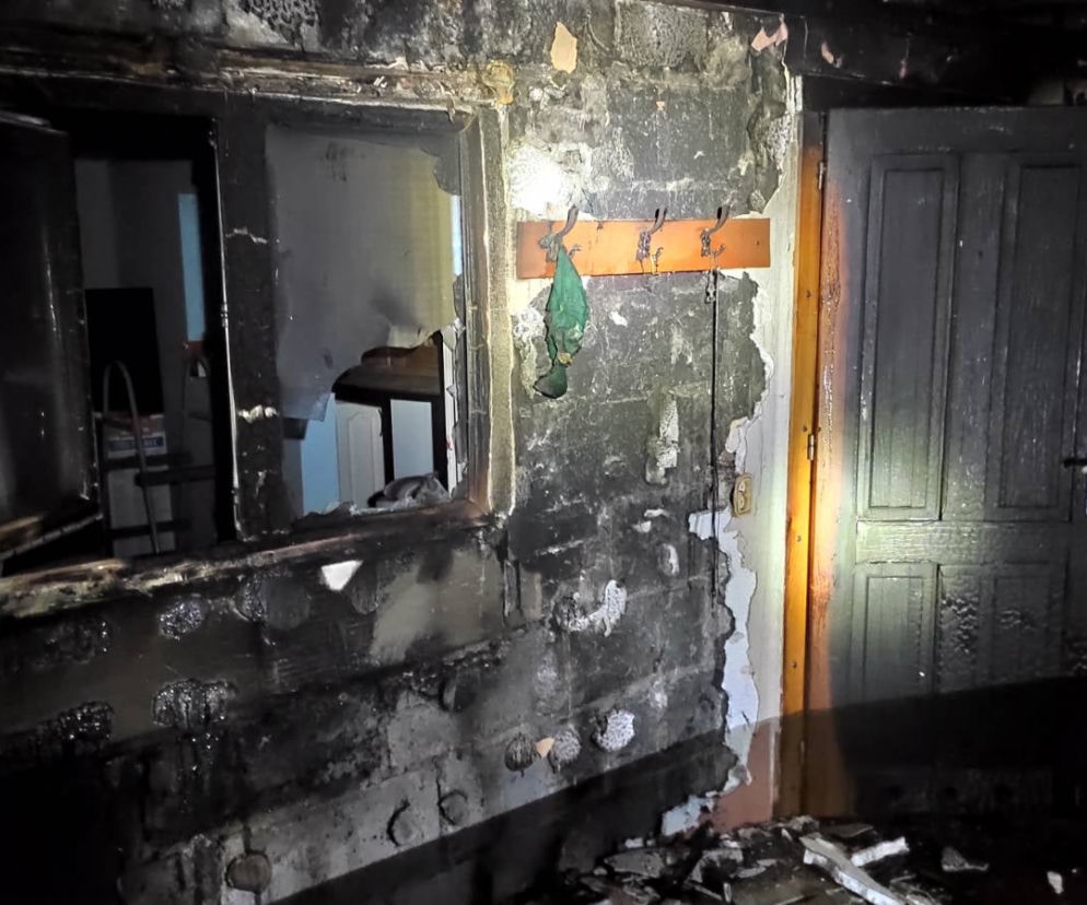 Grudziądz: Pożar altanki na ROD Chemik. Strażacy nie wierzą w przypadek 