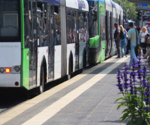 Kwietniki na przystanku tramwajowym na Bramie Portowej