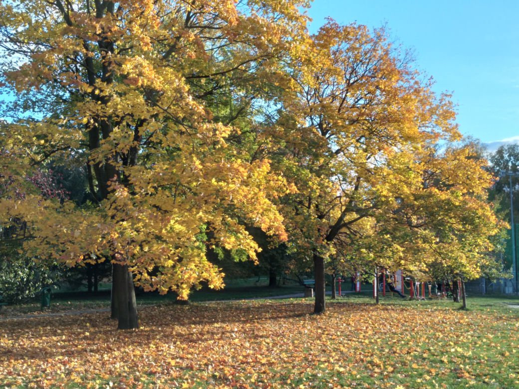 Park Skaryszewski