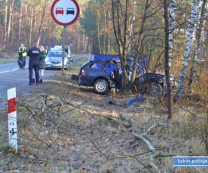 BMW rozbiło się na drzewie, nie żyje młoda kobieta