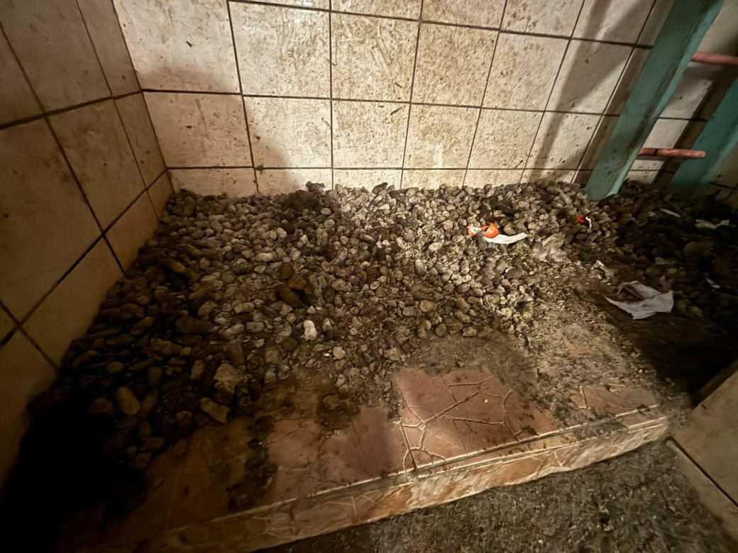 Piekło za zamkniętymi drzwiami. 18 zwierząt żyło wśród robactwa i śmieci!