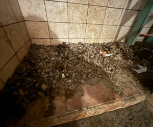 Piekło za zamkniętymi drzwiami. 18 zwierząt żyło wśród robactwa i śmieci!