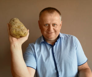 Ziemniak gigant z Małopolski