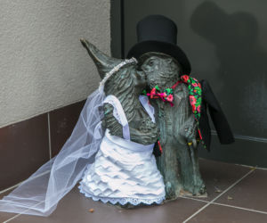 Panna młoda