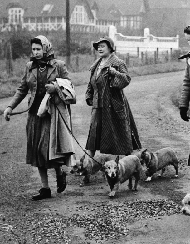 Ukochane corgi królowej były przy niej do końca. "Czuwały przy łożu śmierci"