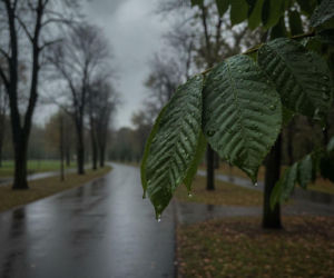 Pogoda w Opolu pokaże dwa oblicza. Prognoza na weekend ma ważny szczegół