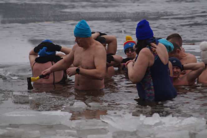 Lodowata woda, gorące emocje. Morsy znów opanowały jezioro pod Bydgoszczą