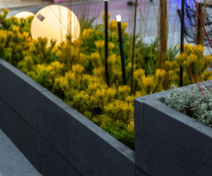 BUDMA 2026 - zdjęcia