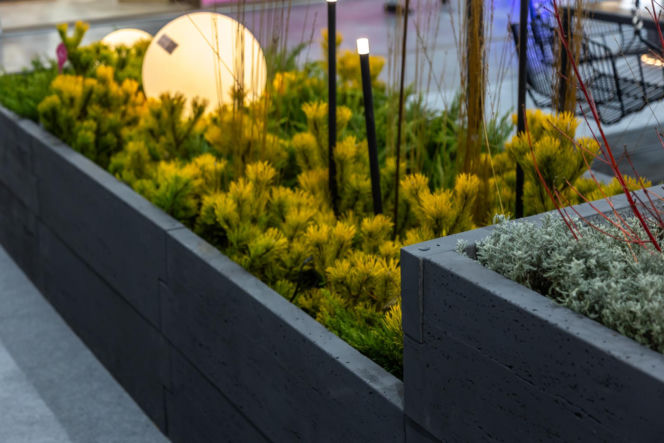 BUDMA 2026 - zdjęcia