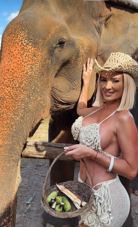Gwiazdy witają nowy rok w bikini