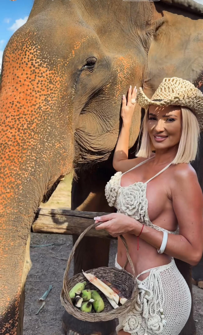 Gwiazdy witają nowy rok w bikini