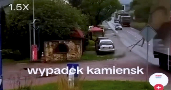 Pas od tira uderzył kobietę prosto w głowę. Wszystko widać na nagraniu