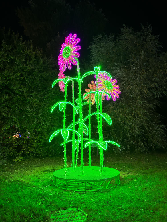 Otwarcie Lumina Parku w Poznaniu. Tegoroczne świecące miasteczko robi fenomenalne wrażenie!