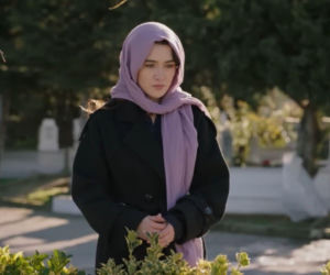 Wichrowe wzgórze odc. 334