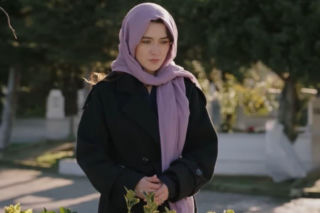 Wichrowe wzgórze odc. 334