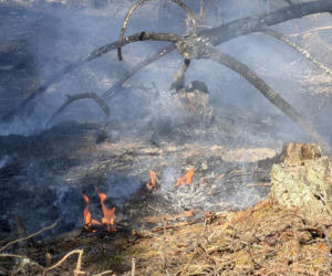 Strażacy walczą z potężnym pożarem na Mazowszu