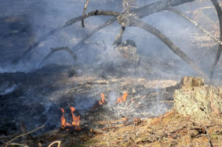 Strażacy walczą z potężnym pożarem na Mazowszu
