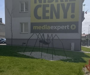 Jedno z najstarszych miast w Polsce leży w województwie łódzkim. Można w nim spotkać gigantycznego pająka!