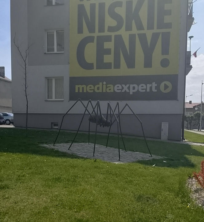 Jedno z najstarszych miast w Polsce leży w województwie łódzkim. Można w nim spotkać gigantycznego pająka!