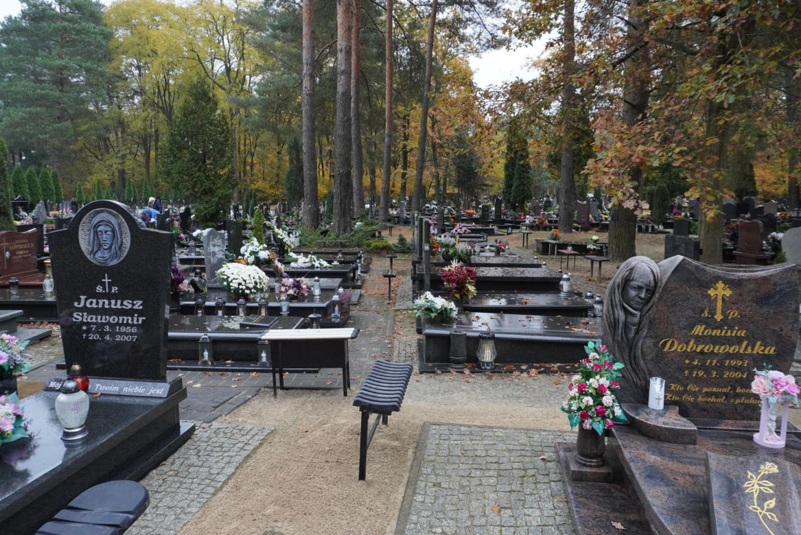 Cmentarz na Miłostowie na kilka dni przed dniem Wszystkich Świętych 