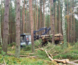 Ruszają prace przy budowie tulelu pod Świną