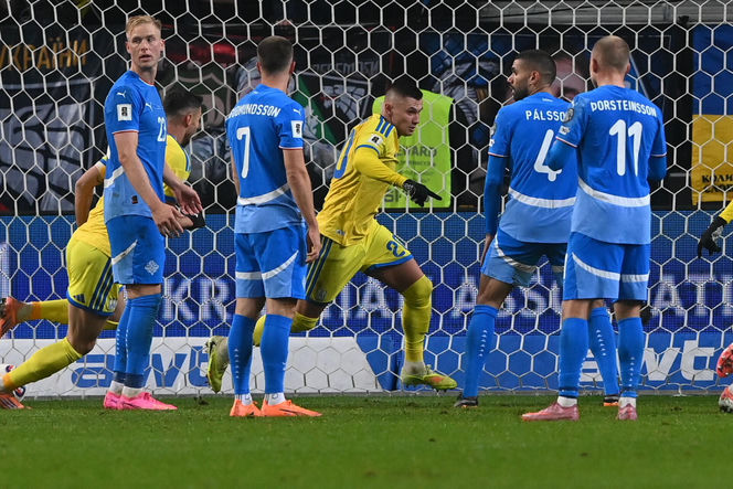 Transparenty na meczu Ukraina - Islandia