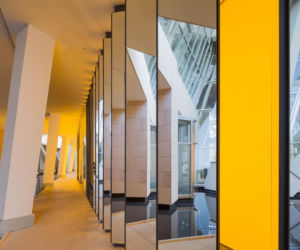 Fondation Louis Vuitton w Paryżu